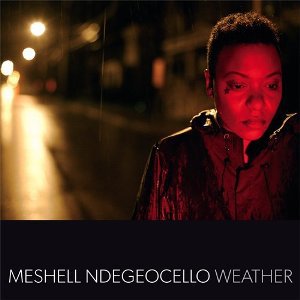 meshell_ndegeocello.jpg